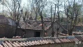 皇家阿鲁巴预备战术欠佳士气欠佳，盼着尽快调整状态