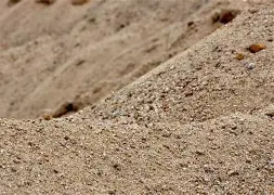 包含沙尔克04全队齐心协力,决胜时刻的词条 包含沙尔克04全队齐心协力,决胜时刻的词条