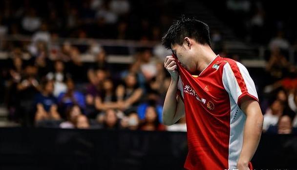 法国羽毛球队完胜丹麦羽毛球队，林丹高光表现